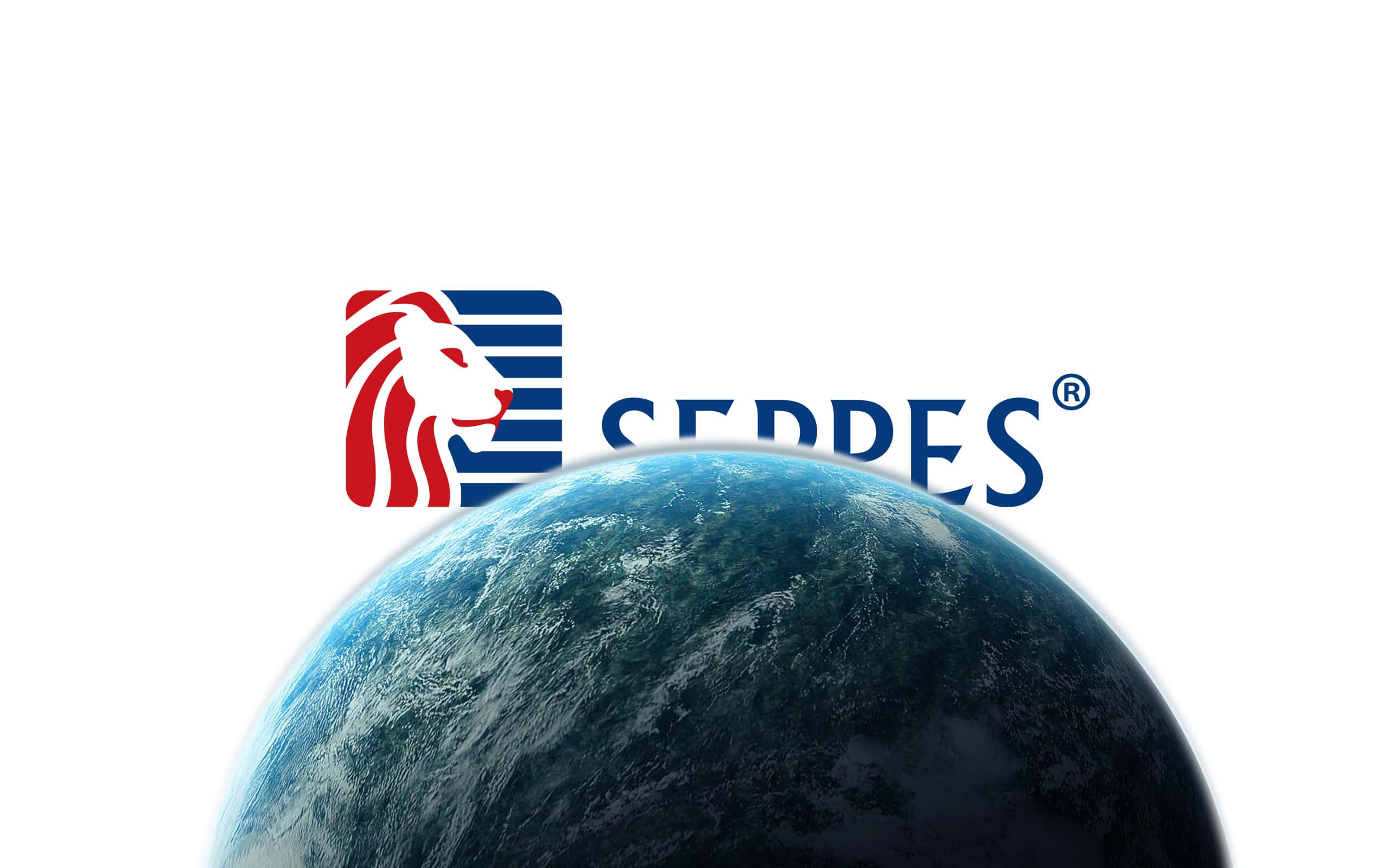 SEPPES global partner industrial access solutions