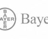 client logo (6)